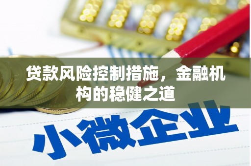 伊犁哈萨克贷款风险控制措施，金融机构的稳健之道
