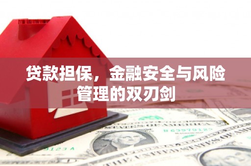 伊犁哈萨克贷款担保，金融安全与风险管理的双刃剑