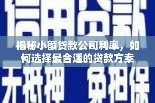 伊犁哈萨克揭秘小额贷款公司利率，如何选择最合适的贷款方案