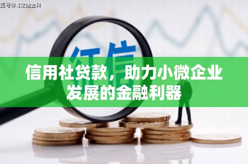 伊犁哈萨克信用社贷款，助力小微企业发展的金融利器