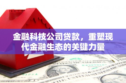 伊犁哈萨克金融科技公司贷款，重塑现代金融生态的关键力量