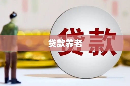 伊犁哈萨克贷款养老