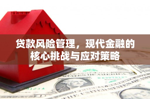 伊犁哈萨克贷款风险管理，现代金融的核心挑战与应对策略