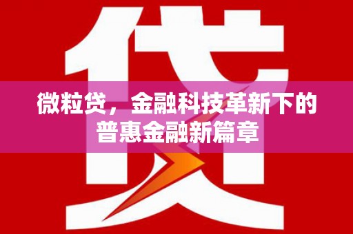 伊犁哈萨克微粒贷，金融科技革新下的普惠金融新篇章
