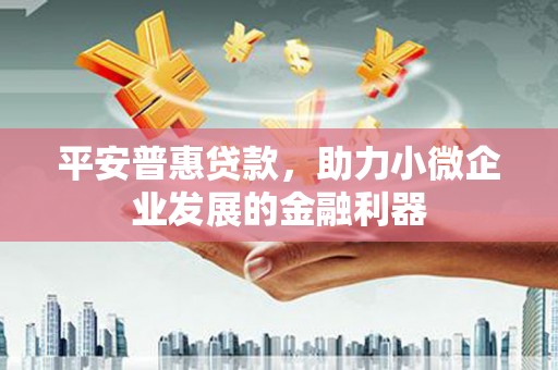 伊犁哈萨克平安普惠贷款，助力小微企业发展的金融利器
