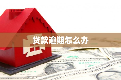 伊犁哈萨克贷款逾期怎么办