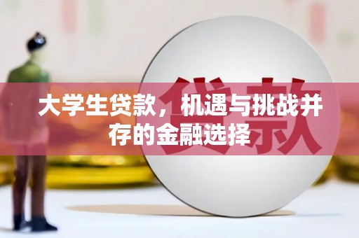 伊犁哈萨克大学生贷款，机遇与挑战并存的金融选择