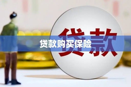 伊犁哈萨克贷款购买保险