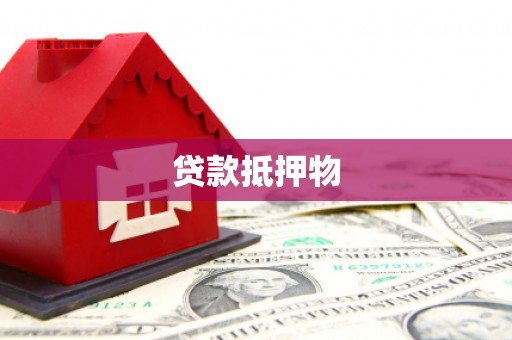 伊犁哈萨克贷款抵押物