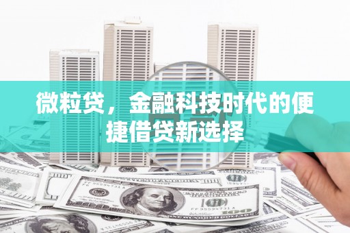 伊犁哈萨克微粒贷，金融科技时代的便捷借贷新选择