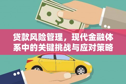 伊犁哈萨克贷款风险管理，现代金融体系中的关键挑战与应对策略