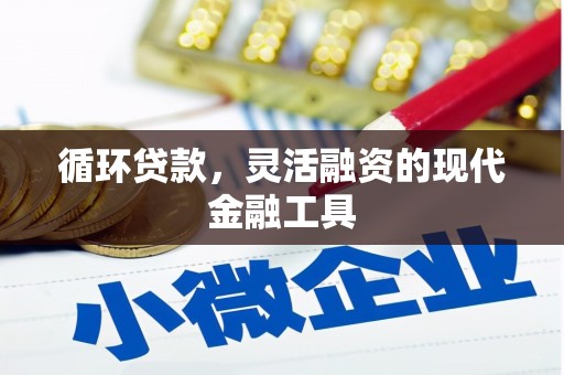 伊犁哈萨克循环贷款，灵活融资的现代金融工具