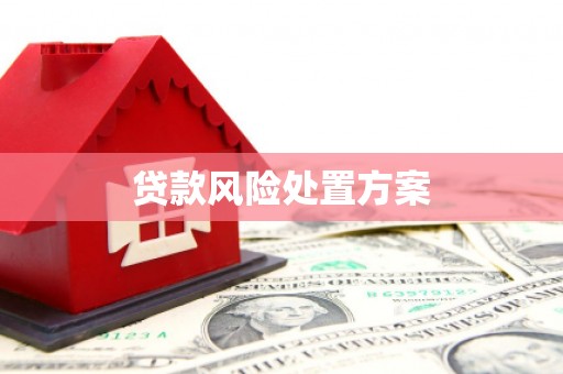 伊犁哈萨克贷款风险处置方案