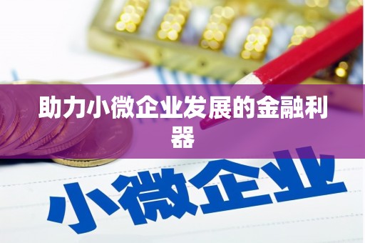 伊犁哈萨克助力小微企业发展的金融利器
