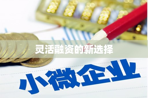 伊犁哈萨克灵活融资的新选择