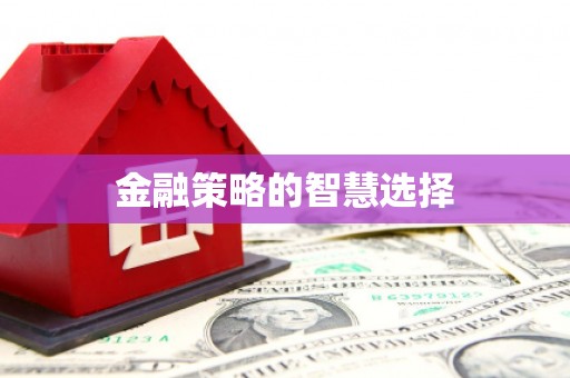 伊犁哈萨克金融策略的智慧选择