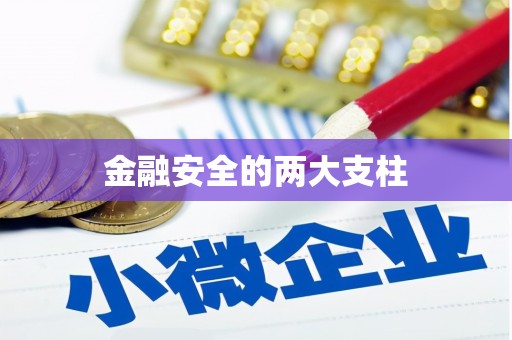 伊犁哈萨克金融安全的两大支柱
